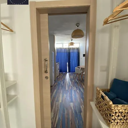 Cristian Delfines Puerto del Carmen (Lanzarote)